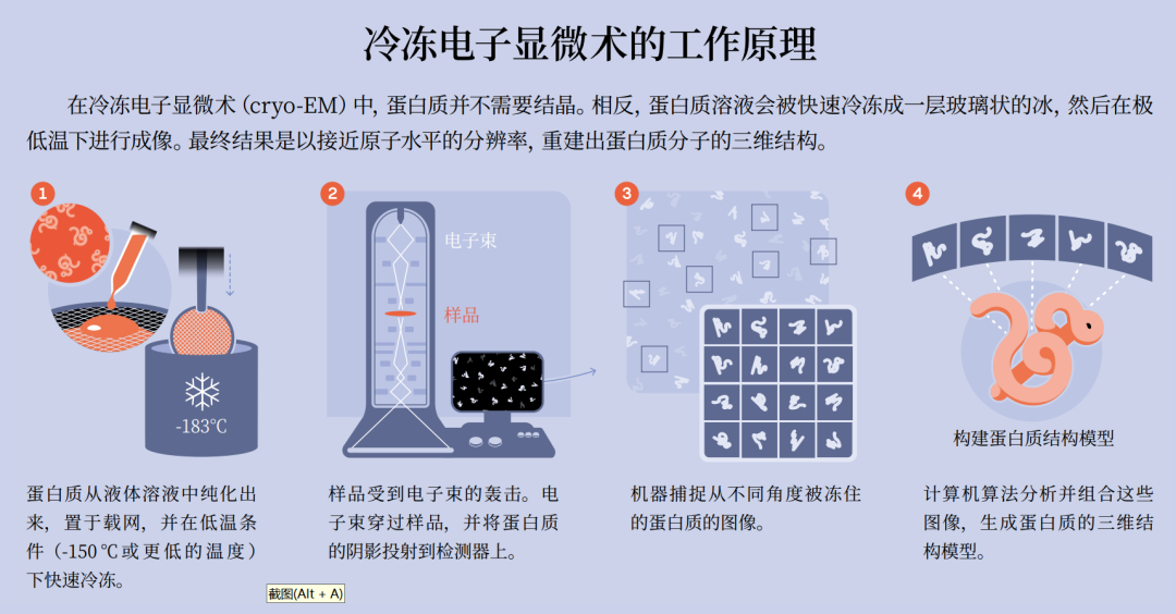 为何诺贝尔化学奖又颁给AI？万字详解：AI重塑结构生物学