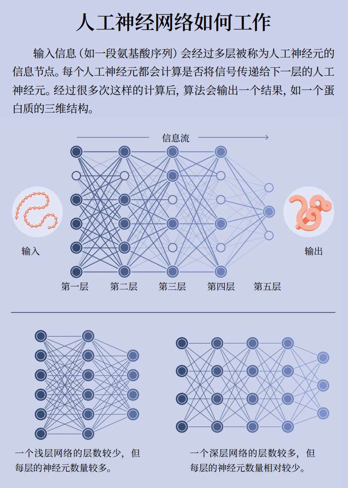 为何诺贝尔化学奖又颁给AI？万字详解：AI重塑结构生物学