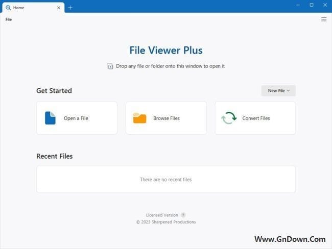 File Viewer Plus(多功能文件浏览器工具) v5.3.0 便携版-滴滴资源网