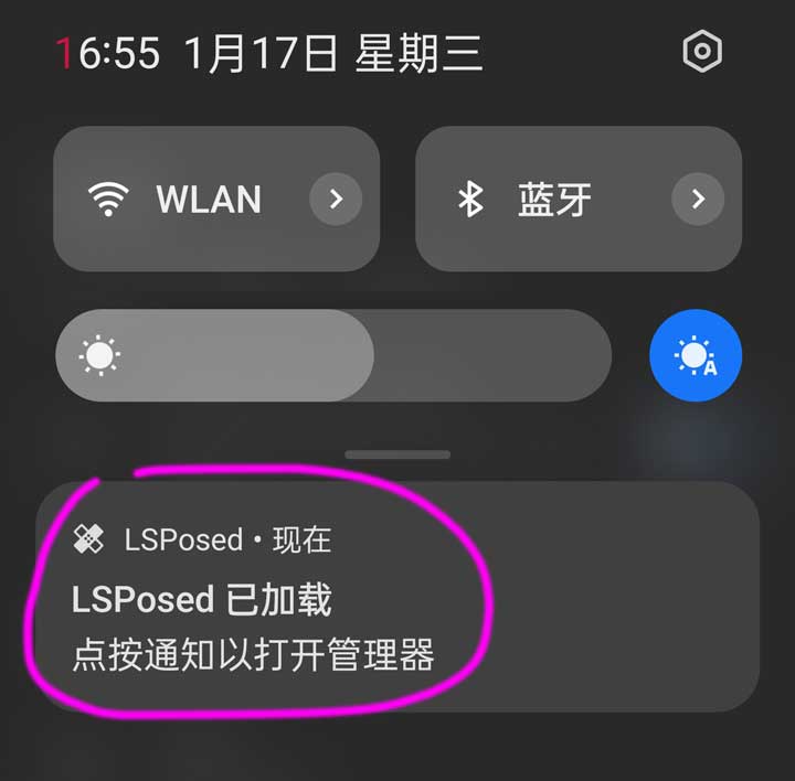 LSPosed 安装教程插图3